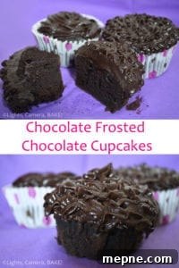 Moist Chocolate Cupcakes with Rich Cocoa Flavor 5 Chocolate frosted chocolate cupcakes, soft and rich dessert