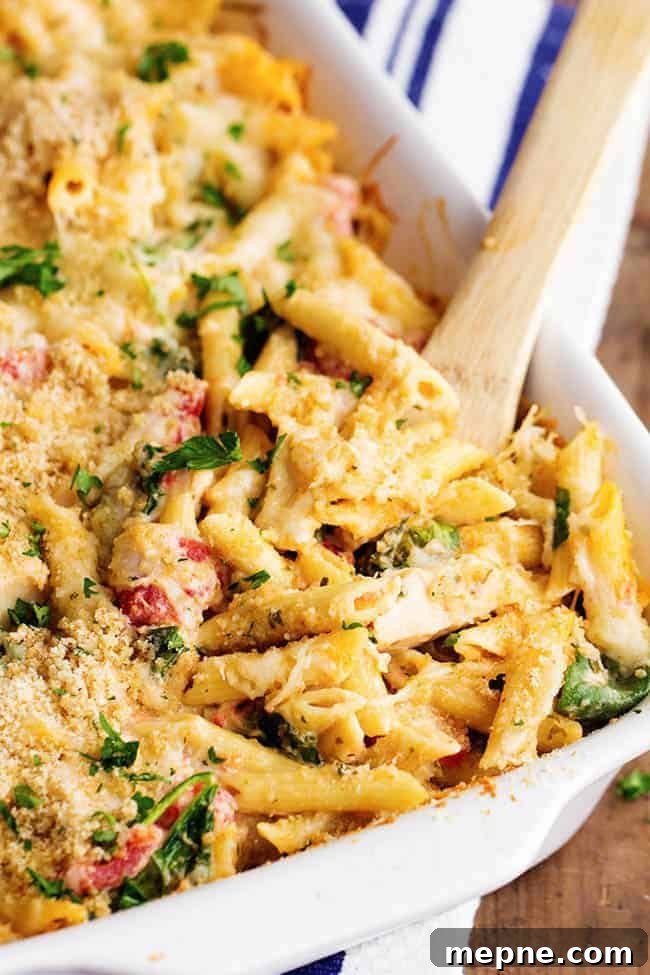 Classic Southern Squash Casserole Recipe with Cheesy Panko Crust 2 Pesto Alfredo Chicken Casserole