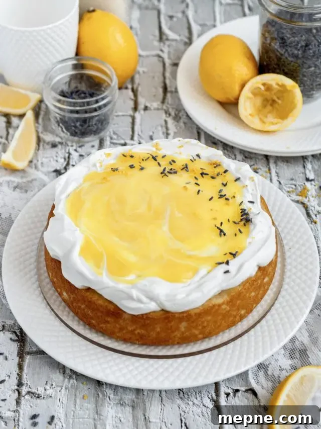 A light golden lavender flavored cake topped with fluffy bright white whipped cream and yellow lemon curd.