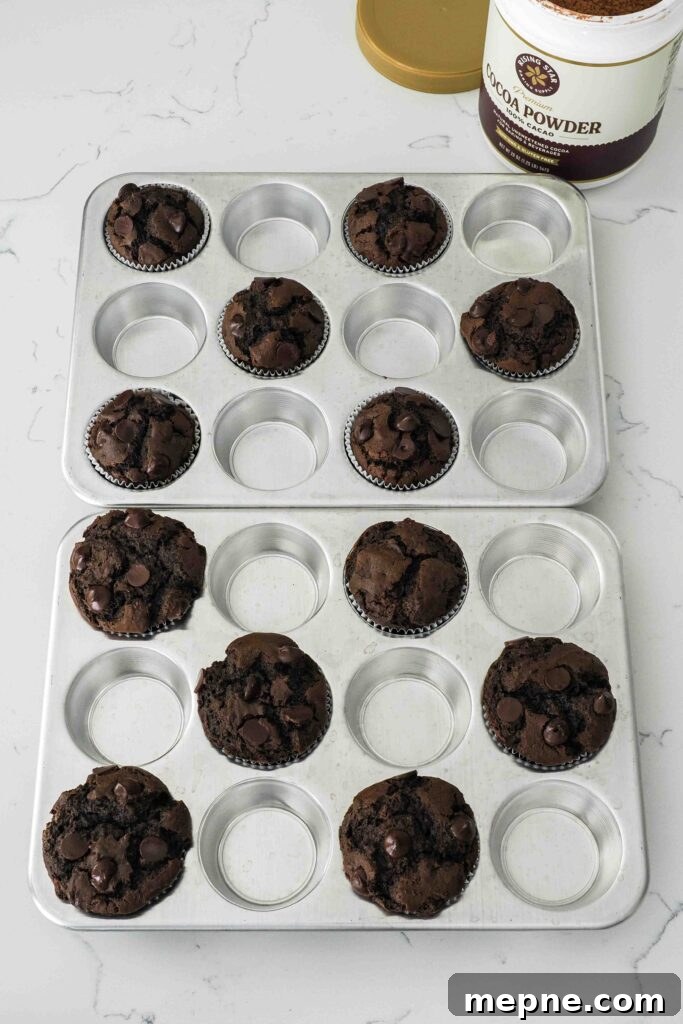 Moist and Fudgy Double Chocolate Muffins Recipe 13 Freshly baked double chocolate muffins on a quartz counter.