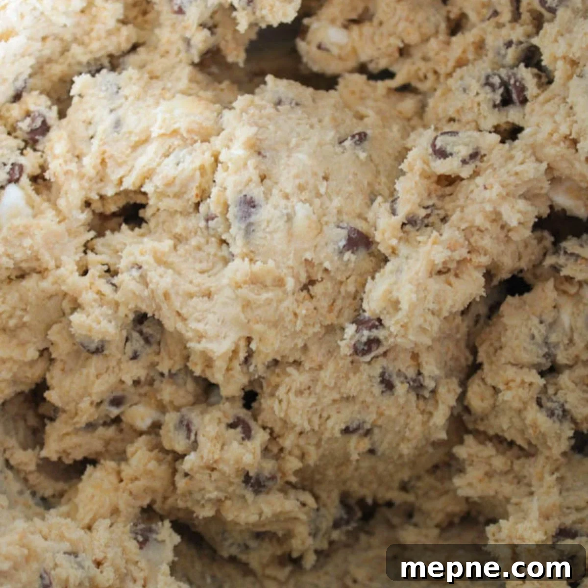 Smores cookie dough with chocolate chips and marshmallows mixed in.