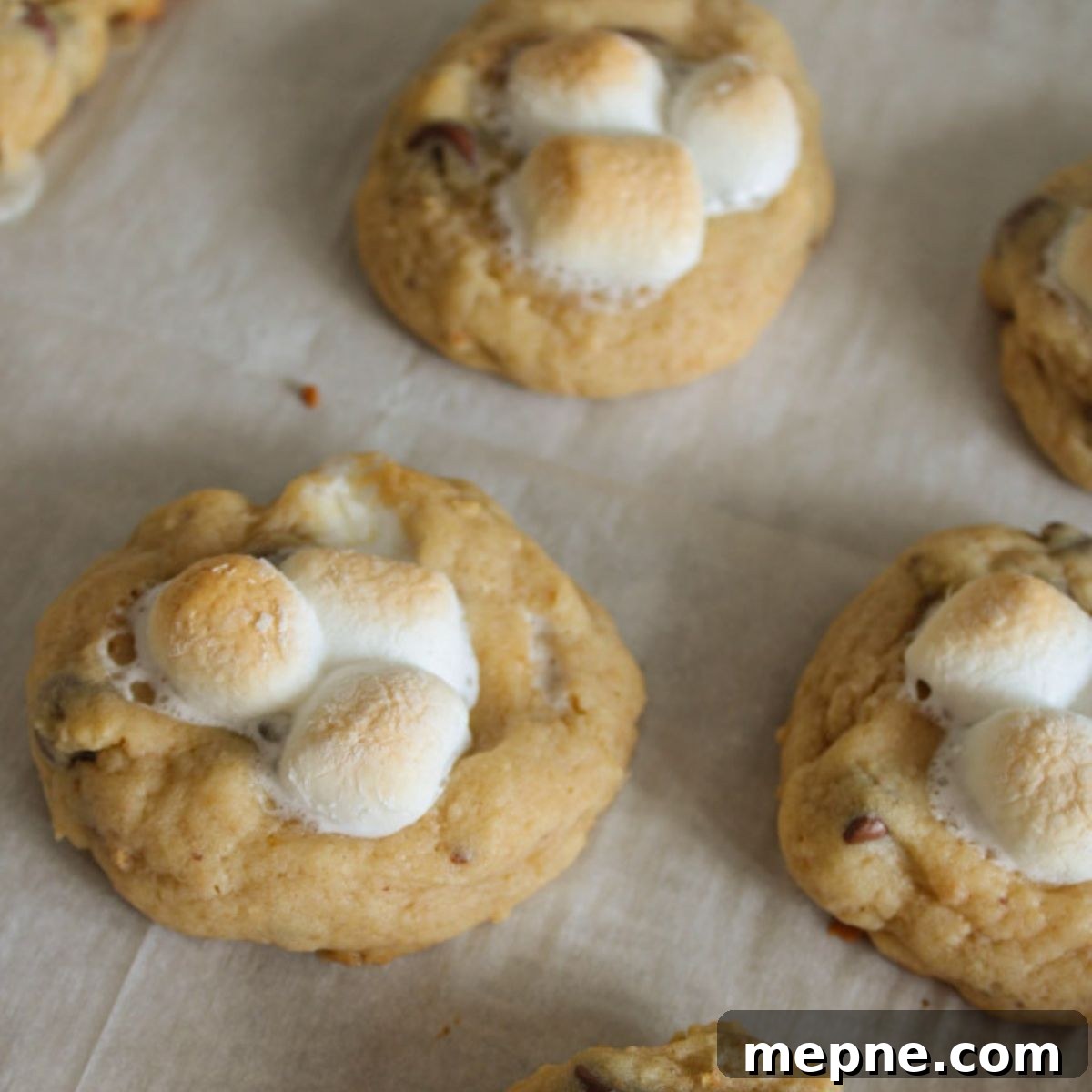 Cooked smores cookies.