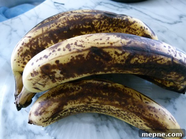 Blueberry Banana Spelt Bread Recipe Gluten Free Option 3 these are ripe bananas