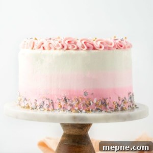Vegan Vanilla Cake with Fluffy Frosting 13 img 8375 12