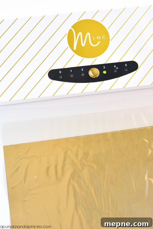 Heidi Swapp - Minc