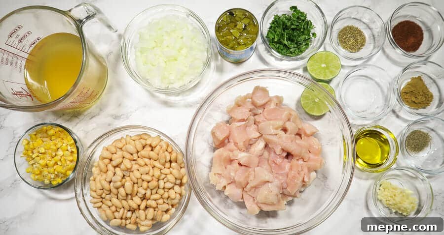 Instant Pot White Chicken Chili: Dairy Free Recipe 4 overhead shot of the ingredients for the instant pot white chicken chili (dairy-free)