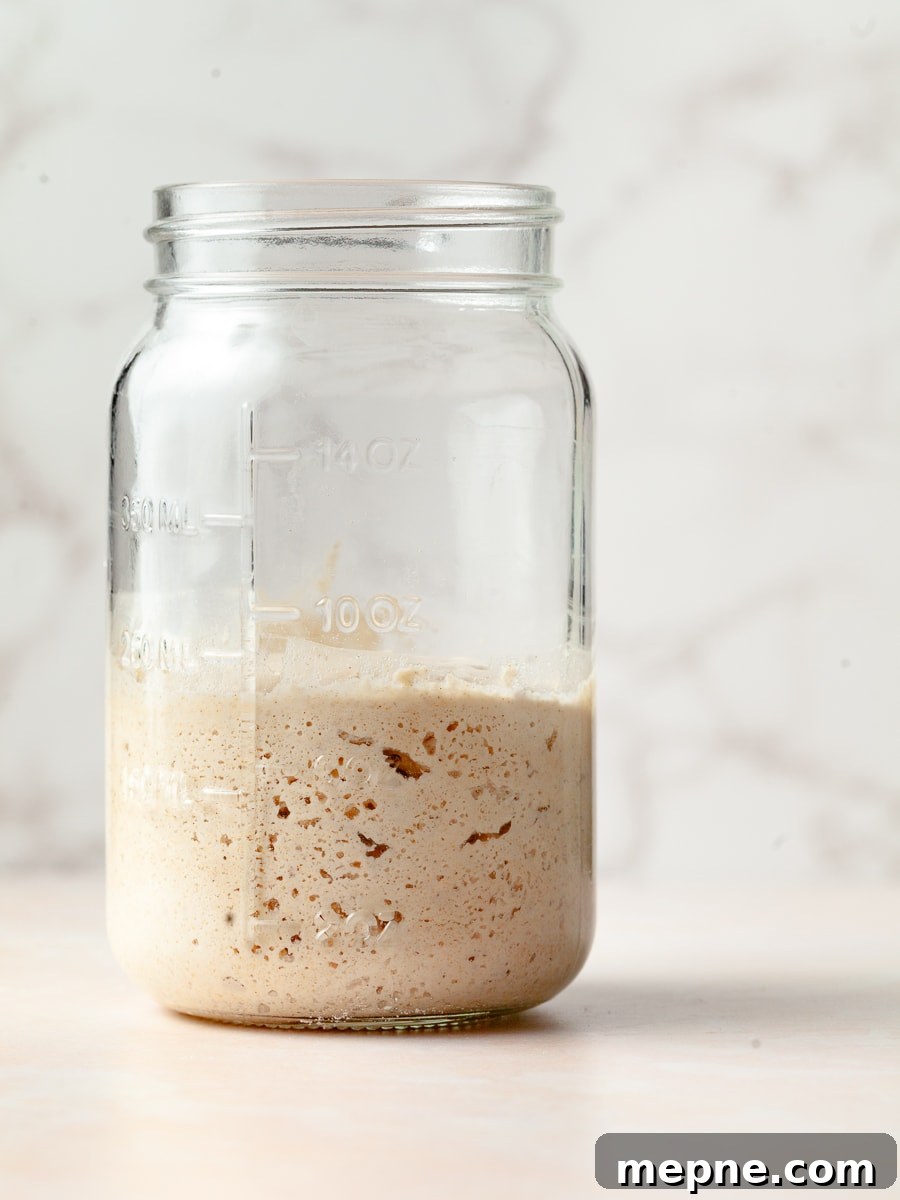 How to Make a Gluten-Free Sourdough Starter at Home 2 a mason jar with gluten free sourdough starter