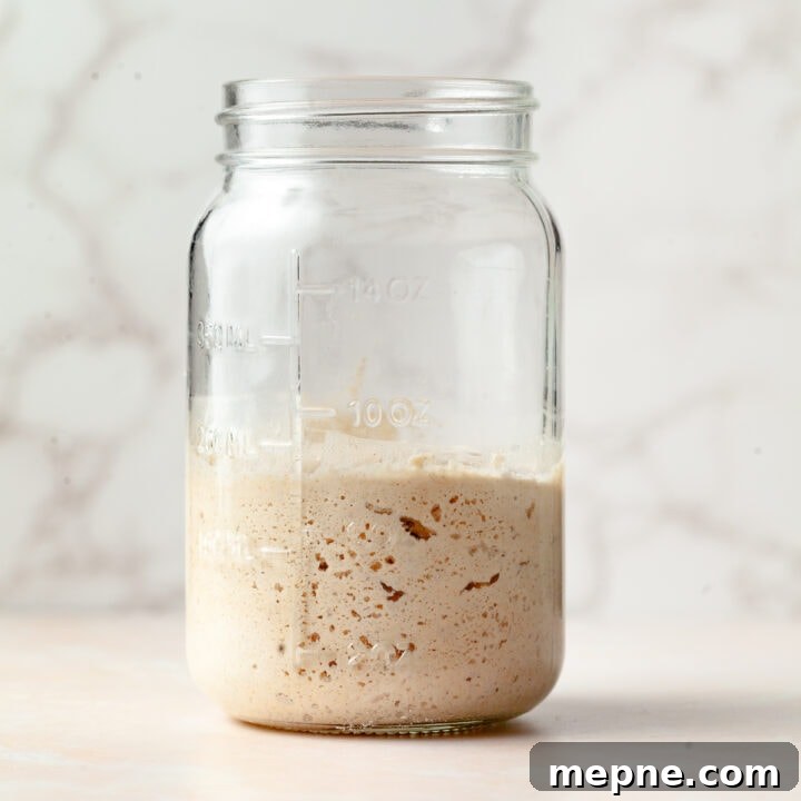 gluten free sourdough starter made with brown rice flour
