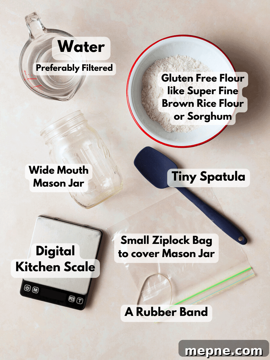 How to Make a Gluten-Free Sourdough Starter at Home 3 ingredients and tools needed to make gluten free sourdough starter