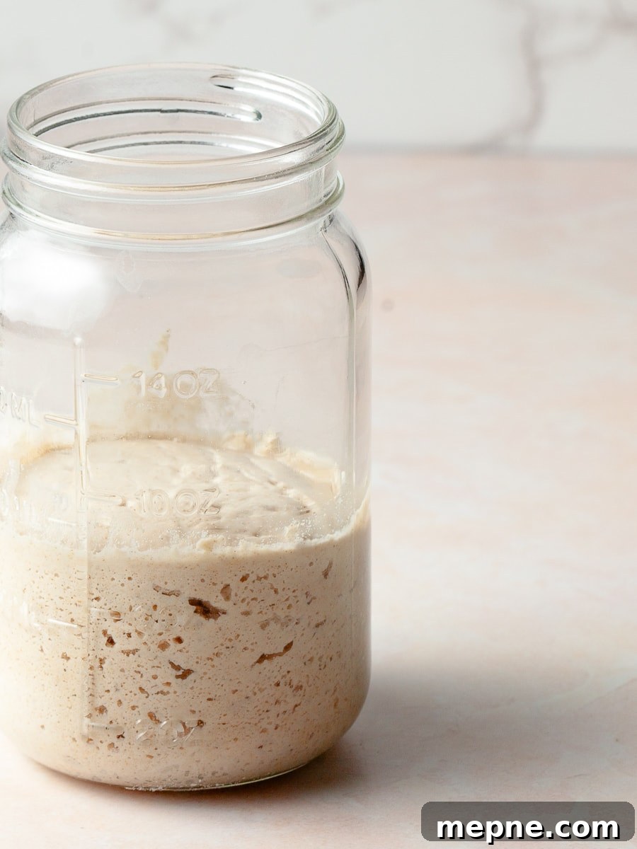 How to Make a Gluten-Free Sourdough Starter at Home 4 img 8930 3