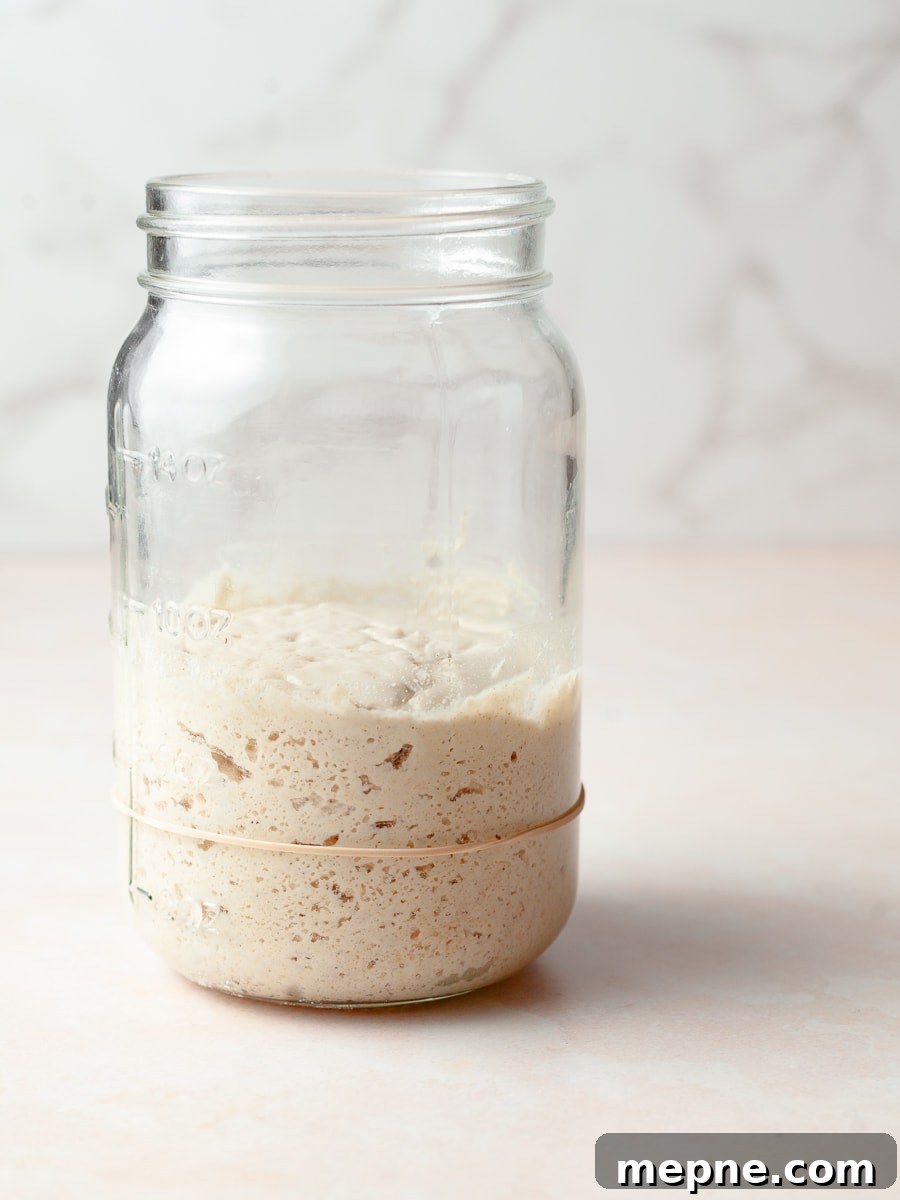 How to Make a Gluten-Free Sourdough Starter at Home 6 a mason jar with gluten free sourdough starter