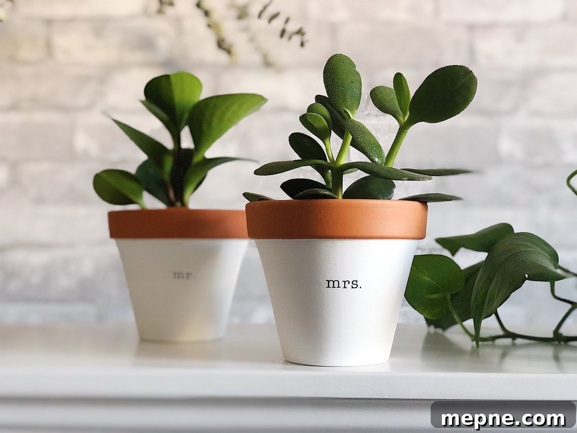 27 Wedding Gift Ideas for Newlywed Couples 7 mr and mrs planters