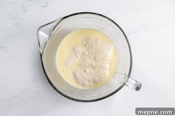 How to Make Fluffy Sourdough Pancakes from Your Starter 4 wet ingredients for pancakes with sourdough starter on top