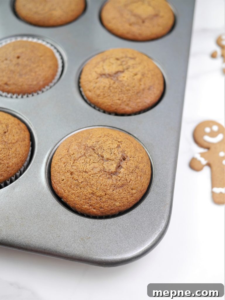 Moist Gingerbread Cupcakes with Spiced Cream Cheese Frosting 6 img 9653 5