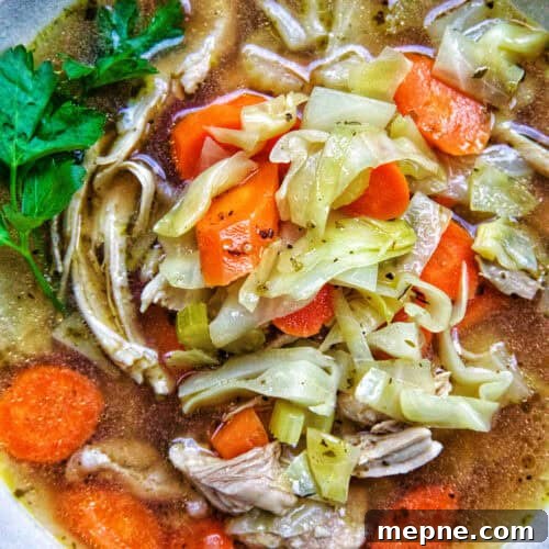 closeup bowl of chicken cabbage soup.