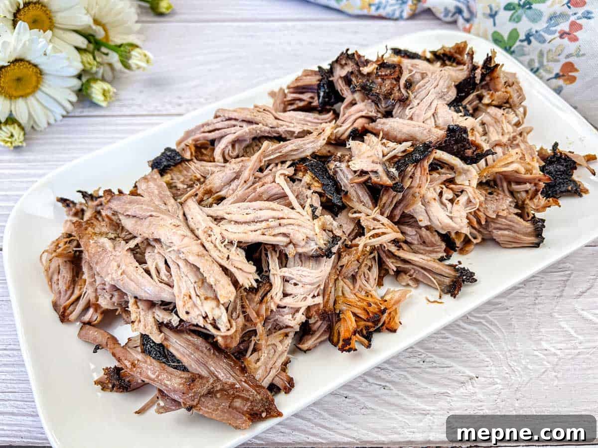 33 BBQ Recipes That Turn Budget Cuts Into Gourmet Meals 9 Shredded Ninja Woodfire Outdoor Grill Smoked Pulled Pork on a white plate.